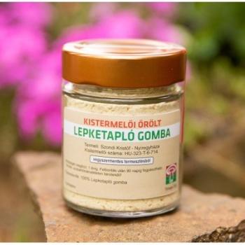 https://nyugalombiobolt.hu/media_ws/10010/2098/idx/gomba-dr-lepketaplo-gomba-gomba-dr-lepketaplo-gomba-orlemeny-20g.jpg