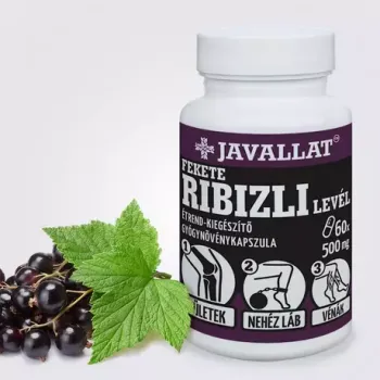 https://nyugalombiobolt.hu/media_ws/10011/2081/idx/javallat-fekete-ribizli-level-kapszula-50db.webp
