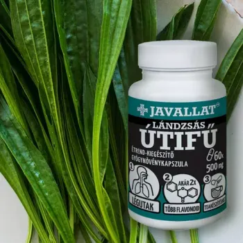https://nyugalombiobolt.hu/media_ws/10011/2096/idx/javallat-landzsas-utifu-level-kapszula-50db.webp