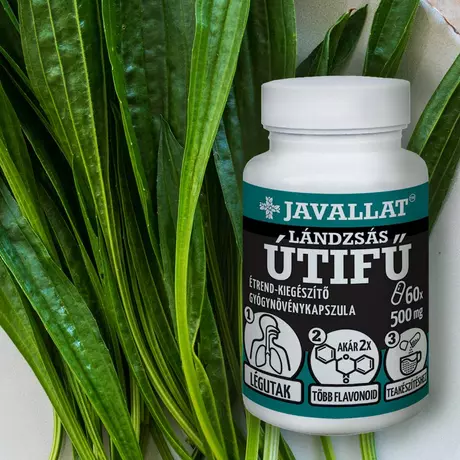 Javallat Lándzsás útifű levél kapszula 50db