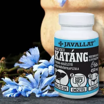 https://nyugalombiobolt.hu/media_ws/10012/2005/idx/javallat-mezei-katang-280mg-60db.webp