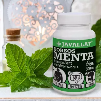 https://nyugalombiobolt.hu/media_ws/10179/2049/idx/javallat-borsmenta-level-kapszula-50db.webp