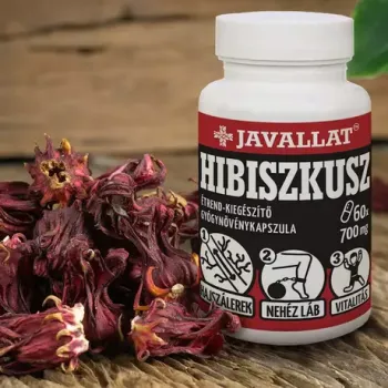 https://nyugalombiobolt.hu/media_ws/10179/2063/idx/javallat-hibiszkusz-60db.webp