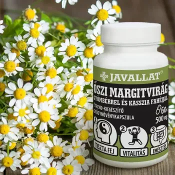 https://nyugalombiobolt.hu/media_ws/10179/2065/idx/javallat-oszi-margitvirag-gyomberrel-faahejjal-60d.webp