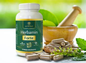 https://nyugalombiobolt.hu/media_ws/10183/2049/idx/natur-elet-herbamin-forte-60db-kapszula.jpg