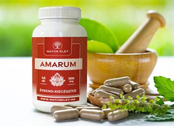 https://nyugalombiobolt.hu/media_ws/10183/2050/idx/natur-elet-amarum-500mg-45db.jpg