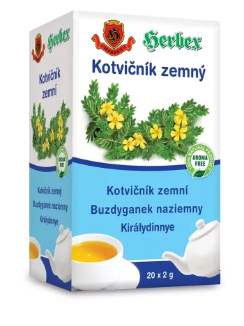 https://nyugalombiobolt.hu/media_ws/10213/2058/idx/herbex-kiralydinnye-filteres-tea-20-db.webp