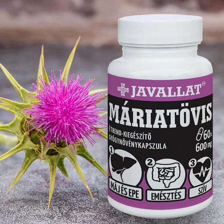 JAVALLAT Máriatövis 60db kapszula