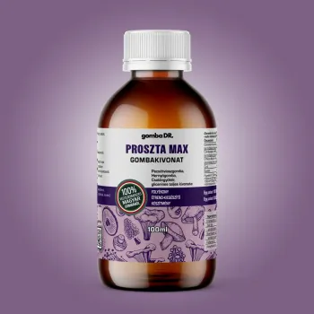 Gomba Dr. Proszta Max folyékony gombakivonat 100ml Kép