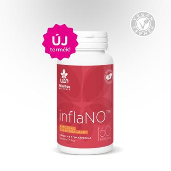 WTN inflaNO 60 kapszula Kép